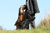 ADULTE ET CHIEN 289